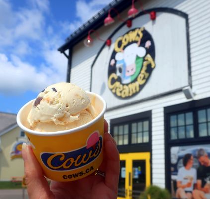 COWS Creamery by null