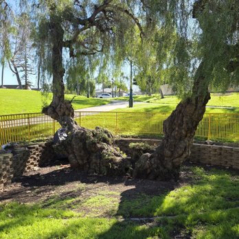 Memorial Park - Parks Near Me - Chula Vista, California