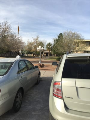 Hope Border Institute