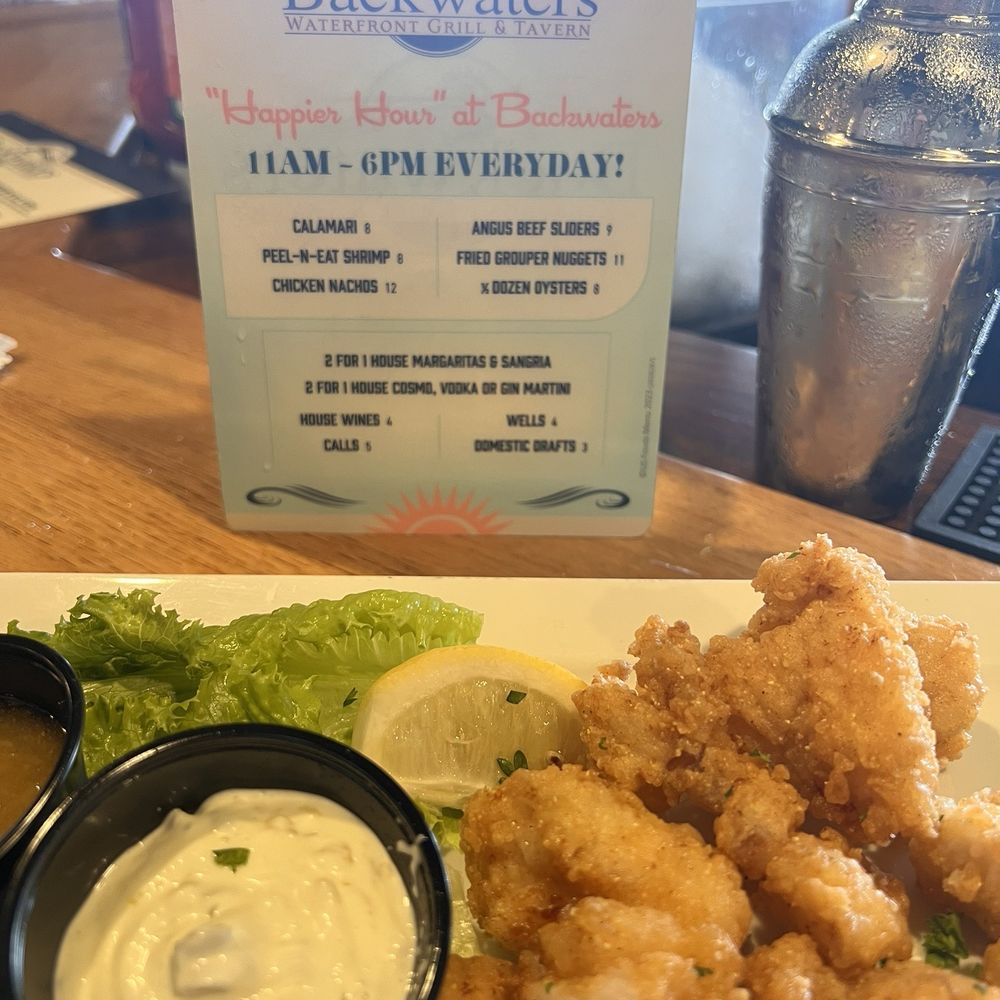 Backwaters on Sand Key - Grouper nuggets - Seafood Near Me - Clearwater Beach, Florida