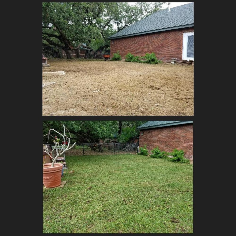 E & B Tree service and Landscaping - tree service in San Antonio, TX