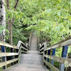 Griggs Nature Preserve