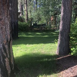 Black Bear Lodge Bar