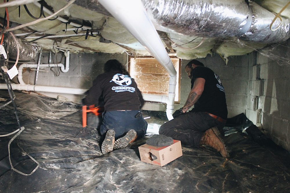 Slide of Champion Comfort Experts