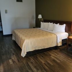 Quality Inn & Suites - Bed