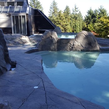 JF Electrical - Fun project with Rain City Rock in West Vancouver! Not nearly as impressive as their work, but we added some underwater lighting and pumps! - Electricians Near Me
