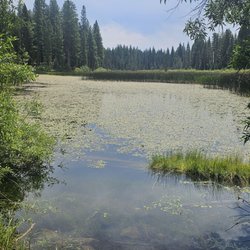 Madora Lake Loop Trail