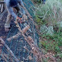 KC Tree Services