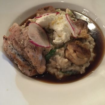 Lila - Mushroom Risotto with grilled chicken - New American Near Me - Sarasota, Florida Lila - Mushroom Risotto with grilled chicken - New American Near Me - Sarasota, Florida