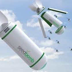 Photo of Cannabis Seeds - London, XGL, GB.