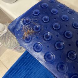 Bizzy Bee'z Housecleaning & Home Services - How the bath mat was left after "cleaning" the bathroom
