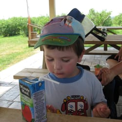 Between the Bushes Restaurant & Blueberry Acres - Picnic area beside the restaurant