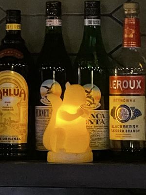 White Squirrel Bar by null