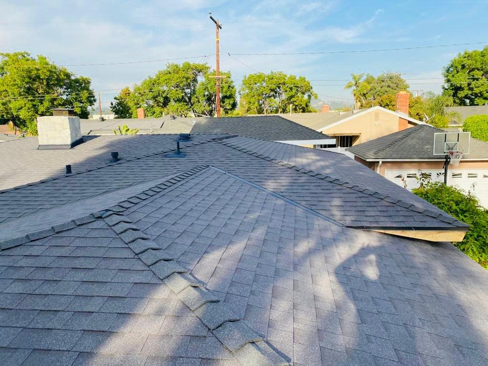 Slide of DNA Roofing