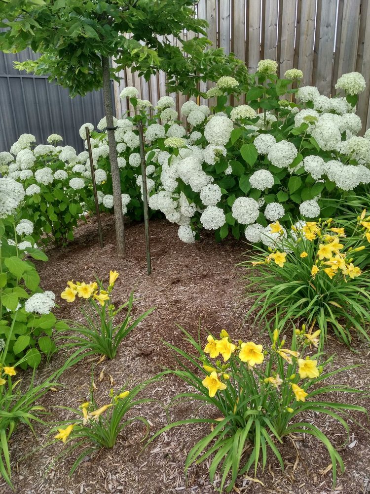 ANGIE’S KITCHEN Updated September 2024 1761 Erbs Road, St. Agatha