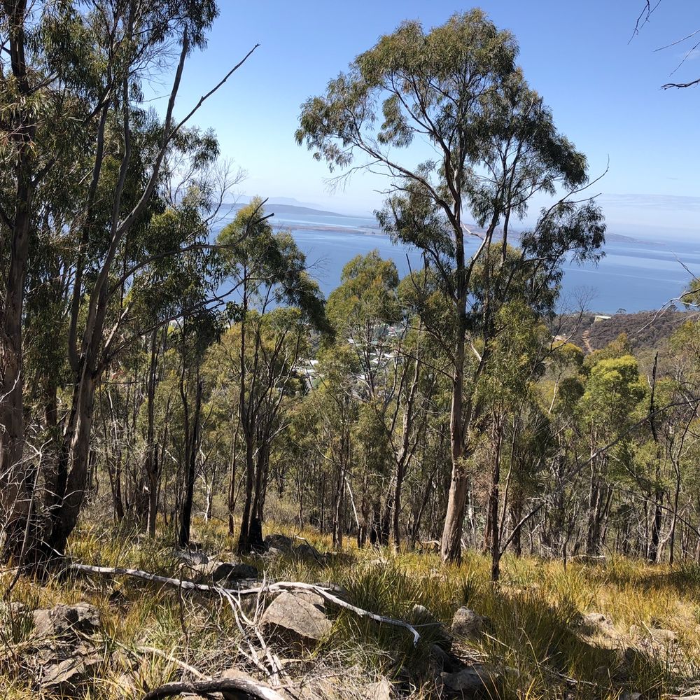 Mount Nelson Lookout - Landmarks & Historical Buildings Near Me - Hobart, TAS