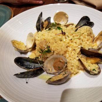 Amylos Taverna - Seafood risotto - Seafood Near Me - Astoria, New York