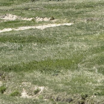 Conata Basin Overlook - Parks Near Me - Wall, South Dakota Conata Basin Overlook - Parks Near Me - Wall, South Dakota