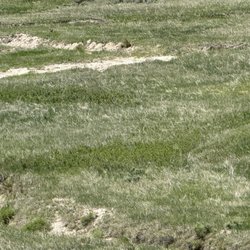 Conata Basin Overlook
