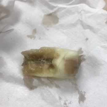 Publix - How can a banana  that looks perfectly fine on the outside look like this inside? - Pharmacy Near Me - Tampa, Florida
