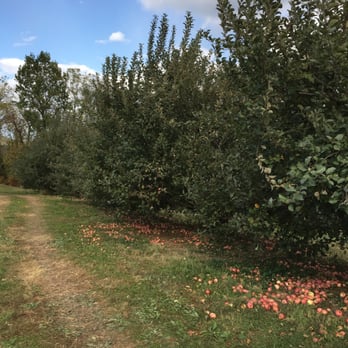 Hartland Orchard - Apple trees galore - Fruits & Veggies Near Me - Markham, Virginia Hartland Orchard - Apple trees galore - Fruits & Veggies Near Me - Markham, Virginia