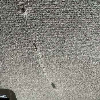 Spiffy - Auto Detailing Near Me - Morrisville, North Carolina Spiffy - Auto Detailing Near Me - Morrisville, North Carolina