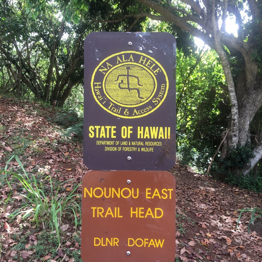Sleeping Giant Trail - Hiking Near Me - Kapaa, Hawaii Sleeping Giant Trail - Hiking Near Me - Kapaa, Hawaii