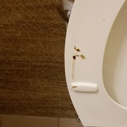 Holiday Inn Express & Suites Geneva Finger Lakes