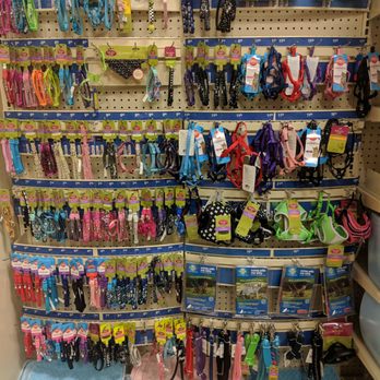 PetSmart - Cat collars and harnesses...if your cat will allow it... - Pet Training Near Me - Charlotte, North Carolina PetSmart - Cat collars and harnesses...if your cat will allow it... - Pet Training Near Me - Charlotte, North Carolina