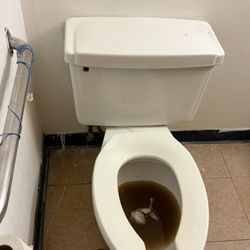 Alpha Concord - Toilet doesn't have a handle to flush