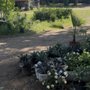 Photo of Hare's Nursery