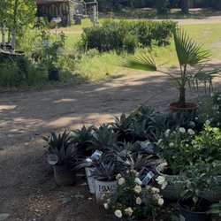 Hare's Nursery - It's super scenic here!
