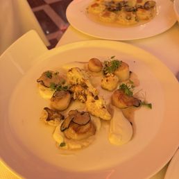 Scallop