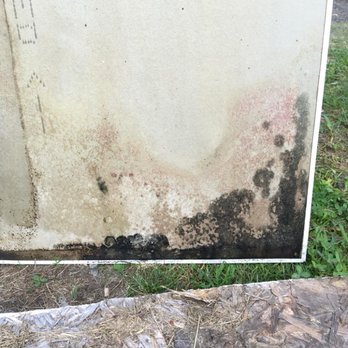 Lilly's Restoration - Mold Remediation in Northampton, Ma - Damage Restoration Near Me - Warren, Massachusetts Lilly's Restoration - Mold Remediation in Northampton, Ma - Damage Restoration Near Me - Warren, Massachusetts