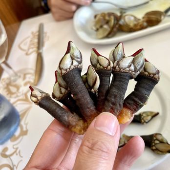 Cervejaria Ramiro - Seafood Near Me - Lisbon, 11