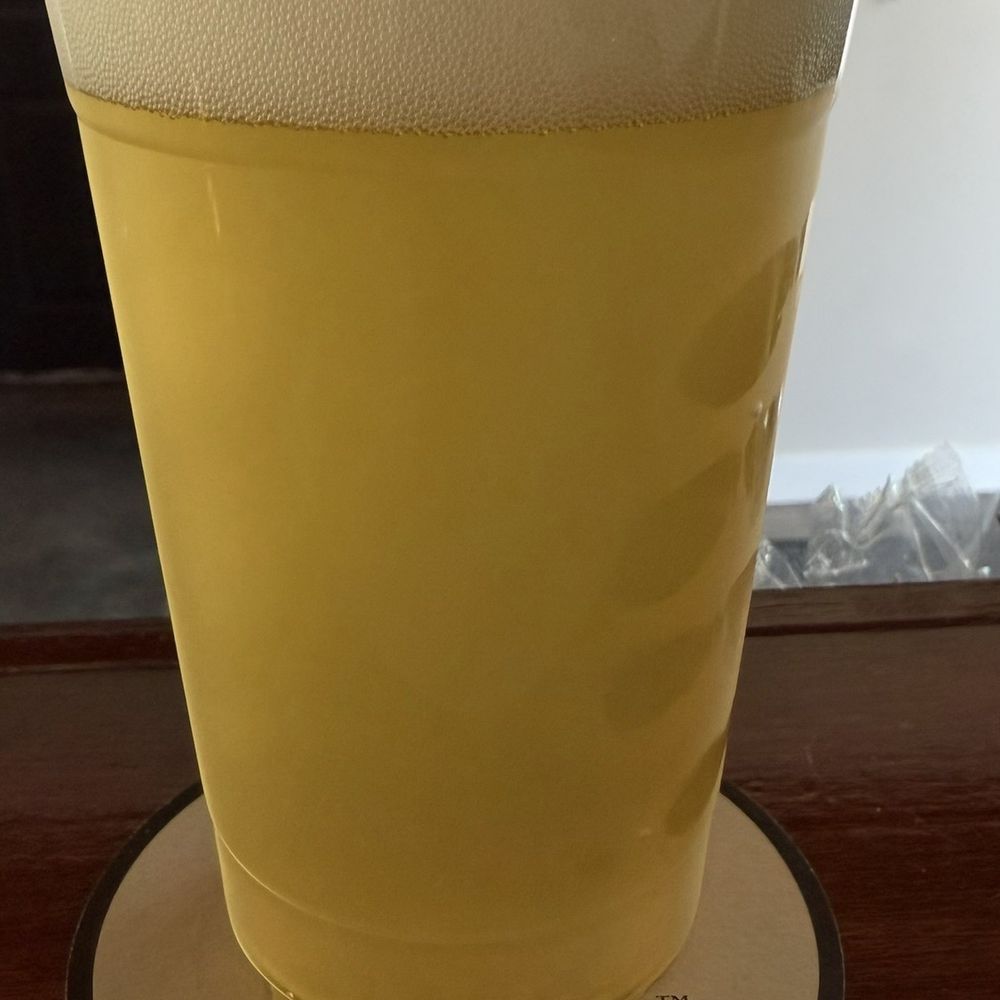 The Playground - Pubs Near Me - Dunedin, Florida The Playground - Pubs Near Me - Dunedin, Florida