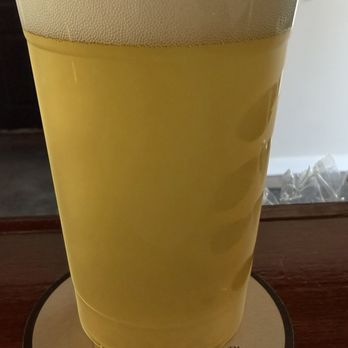 The Playground - Pubs Near Me - Dunedin, Florida