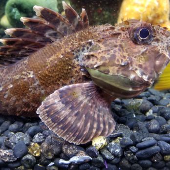 Downtown Aquarium - Museums Near Me - Denver, Colorado