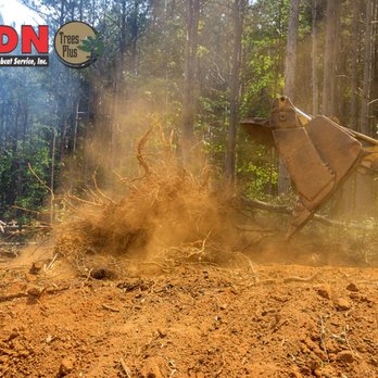 Trees Plus & DN Bobcat Services - Land Clearing Fort Walton Beach - Tree Services Near Me - Navarre, Florida Trees Plus & DN Bobcat Services - Land Clearing Fort Walton Beach - Tree Services Near Me - Navarre, Florida