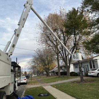Redwood Tree Experts - Removing a white pine tree using our bucket truck - Tree Services Near Me - Marion, Ohio Redwood Tree Experts - Removing a white pine tree using our bucket truck - Tree Services Near Me - Marion, Ohio