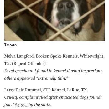Pet Kingdom - Melva Langford, breeder of my dog. This isn't even the worst found about her breeding. - Pet Stores Near Me - Fort Myers, Florida Pet Kingdom - Melva Langford, breeder of my dog. This isn't even the worst found about her breeding. - Pet Stores Near Me - Fort Myers, Florida
