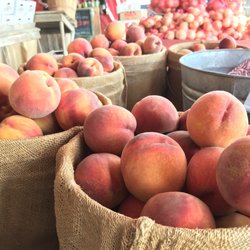 Delicious peaches!