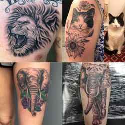 Reckless Heart Tattoo - Animal Portraits by Steve Cochran
