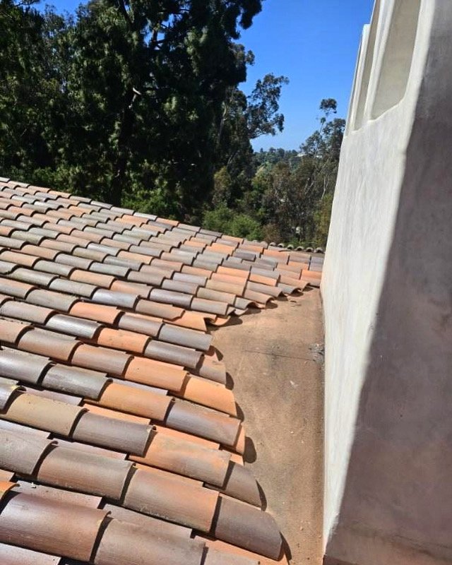 Slide of Nelson The Roofer