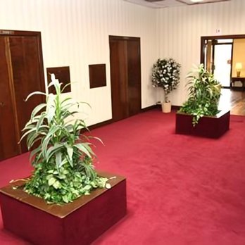 Wilson Funeral Home - Funeral Services & Cemeteries Near Me - Tampa, Florida Wilson Funeral Home - Funeral Services & Cemeteries Near Me - Tampa, Florida