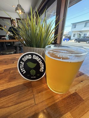 Little Bird Brewing by null