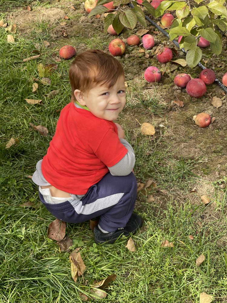 Tiny Hands Enrichment Center - childcare center in East Bridgewater, MA
