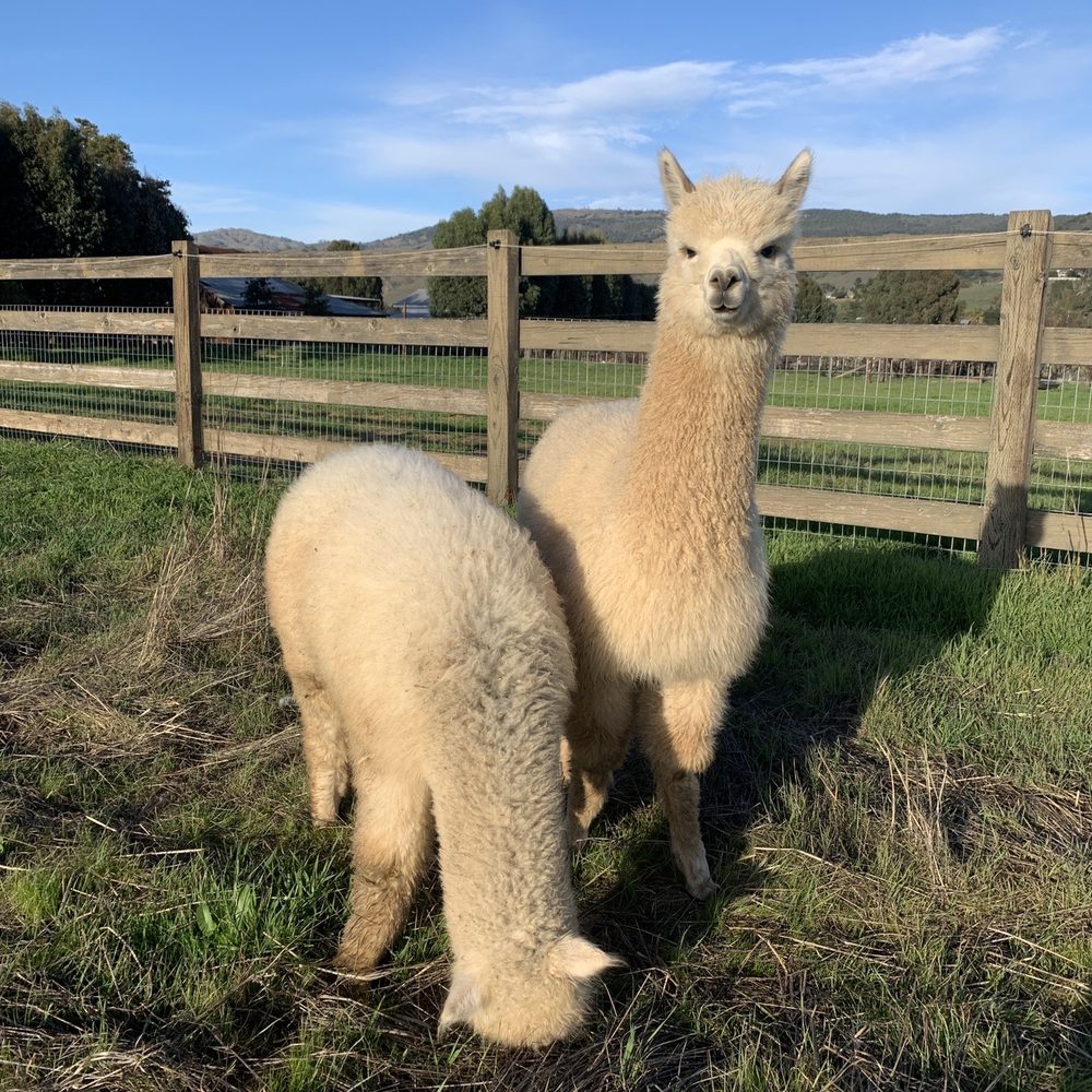 Back-to-Eden Ranch - Attraction Farms Near Me - Gilroy, California
