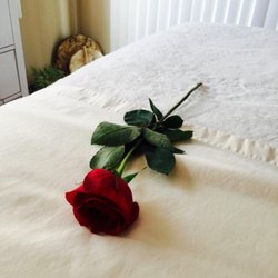 She Heals Noojimo-Noojimo'iwe - ~Rose energy vibrates higher than any other flower in the flower kingdom & is connected to the Angelic realm. Using Rose on the table today!