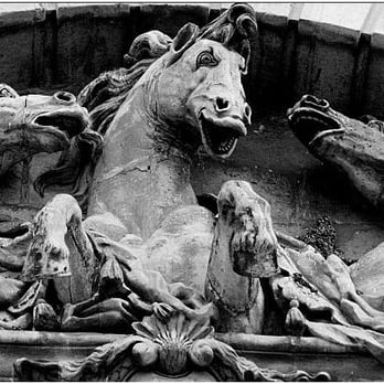 Musee Vivant Du Cheval - Museums Near Me - Chantilly, 60